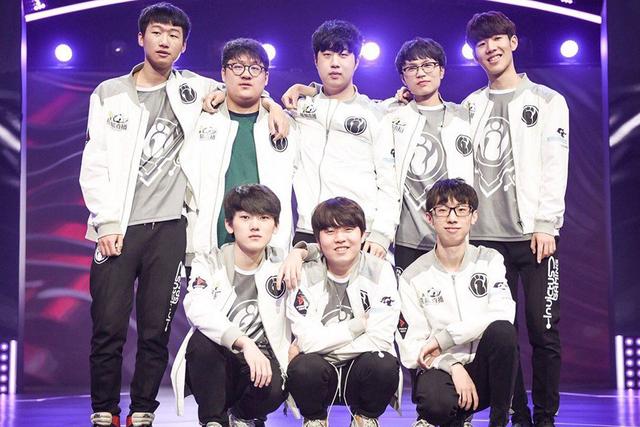 次泰国羽毛 次泰国羽毛