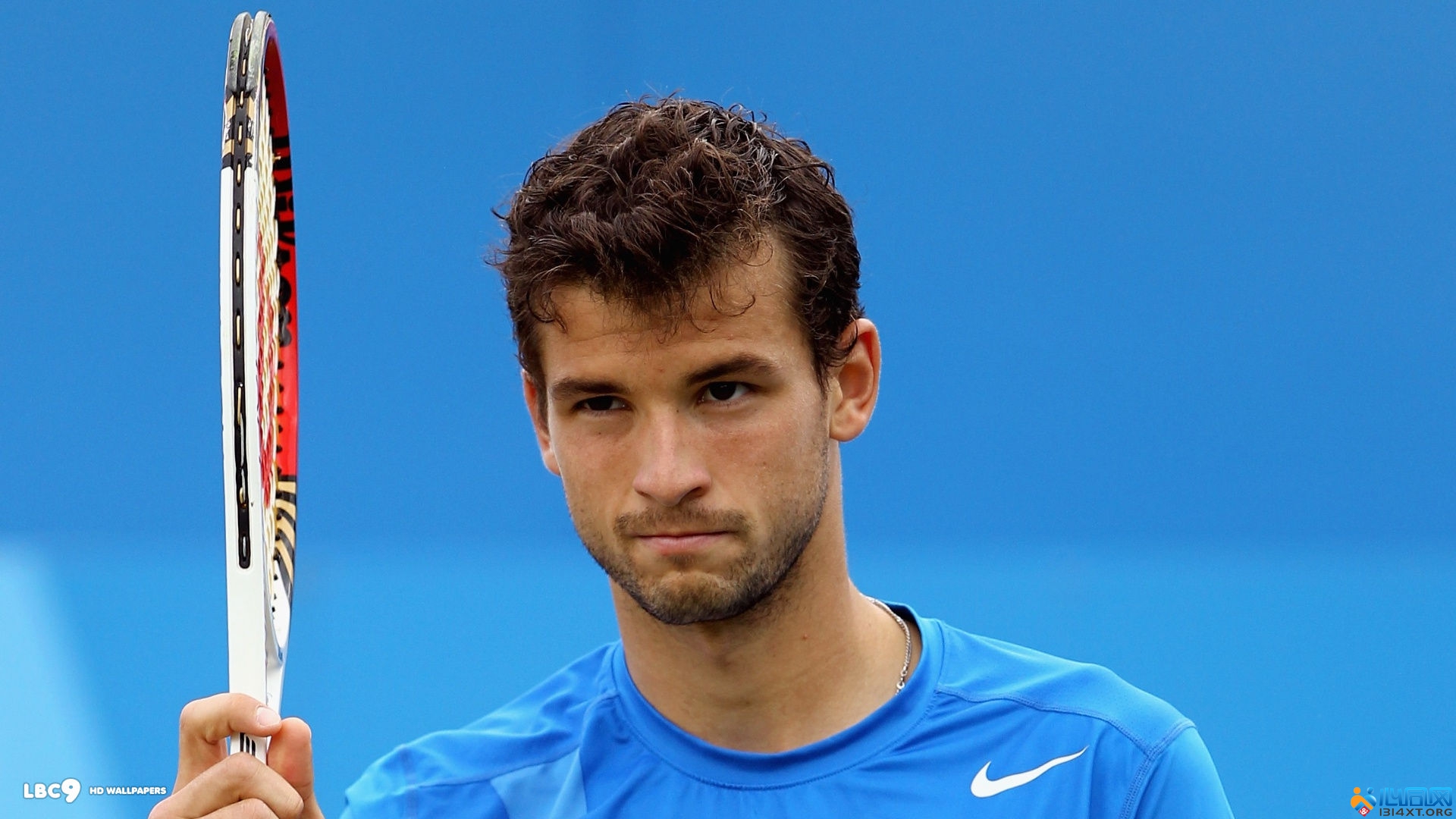 应与王曼昱 应与王曼昱