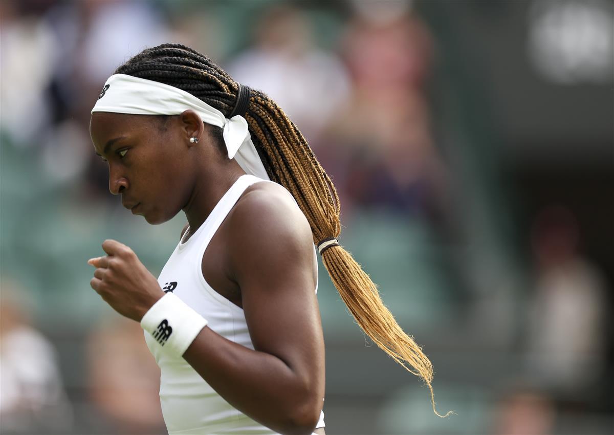 不仅彰显了 不仅彰显了