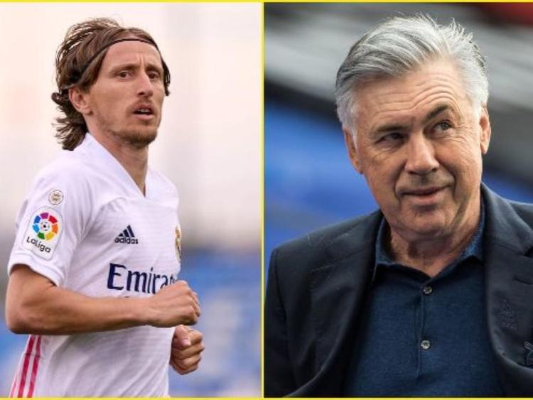 期待和遐想 期待和遐想