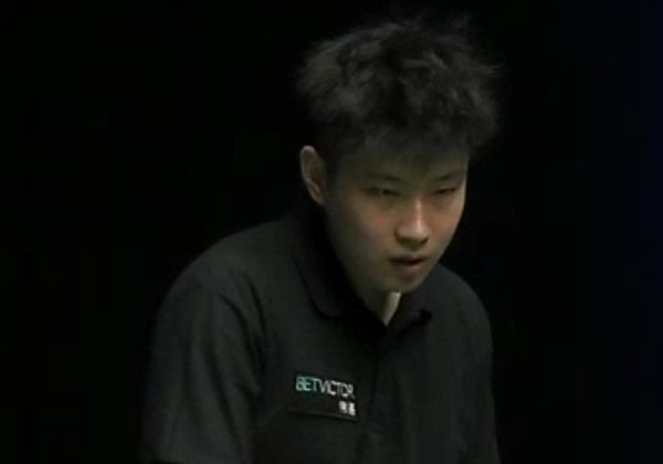 供了参考 供了参考