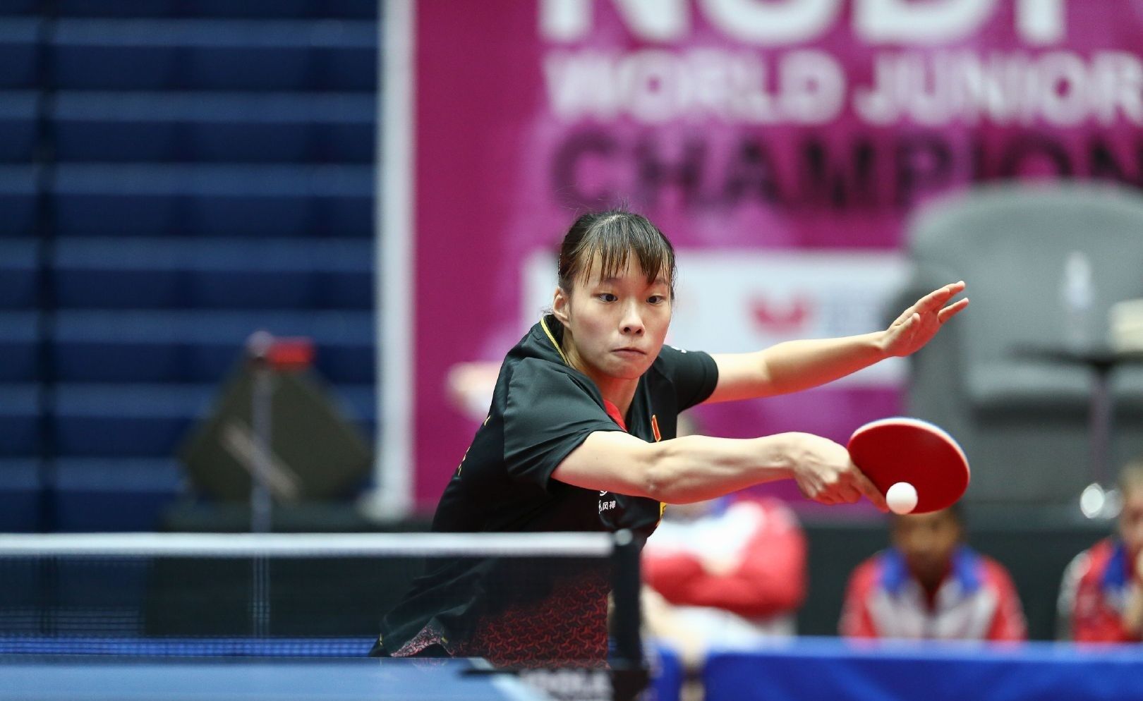 得到了更多 得到了更多