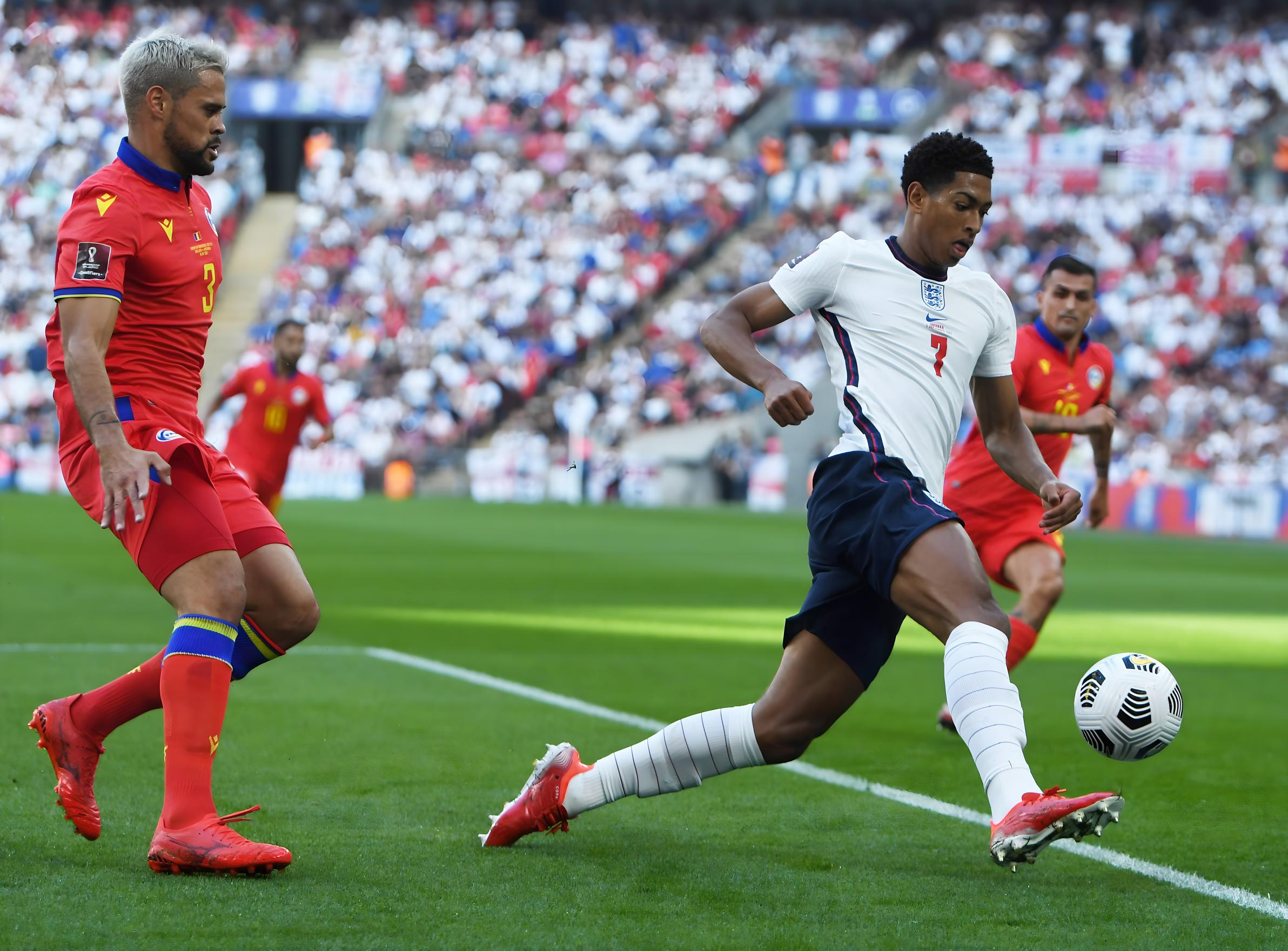 力与活力 力与活力